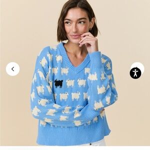 WARM & WONDERFUL DIANA EDITION COTTON LINEN V-NECK SHEEP SWEATER Medium NWT